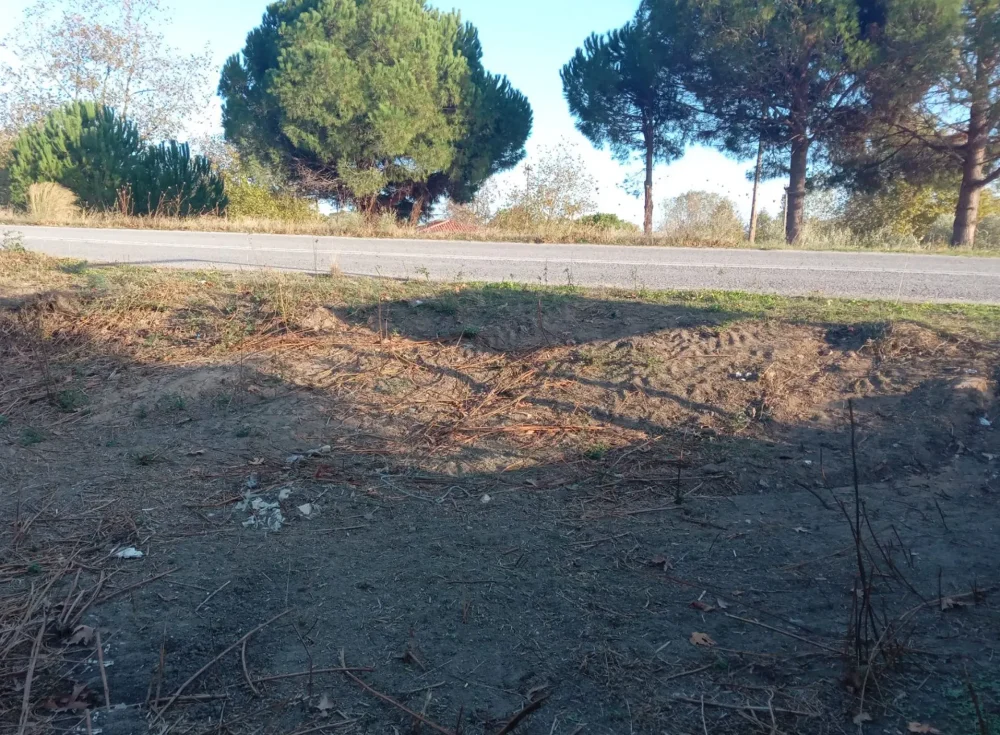 Plot-Even-and-Buildable-1850sq.m-for-SALE-halkidiki-sithonia-306947533221