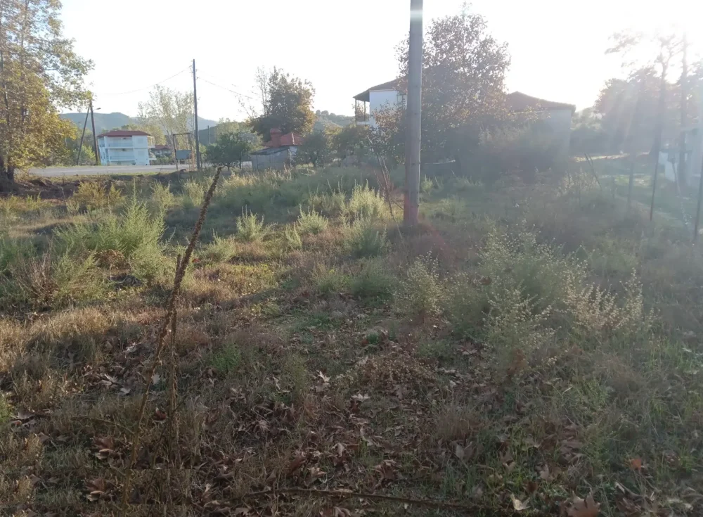 Plot-Even-and-Buildable-1850sq.m-for-SALE-halkidiki-sithonia-306947533221