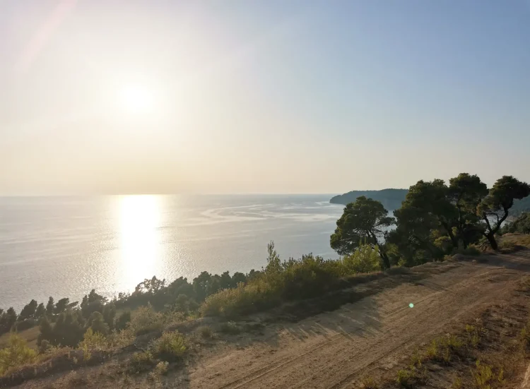 for sale plot of land 11.875sq.m Elani halkidiki kassandra hellas