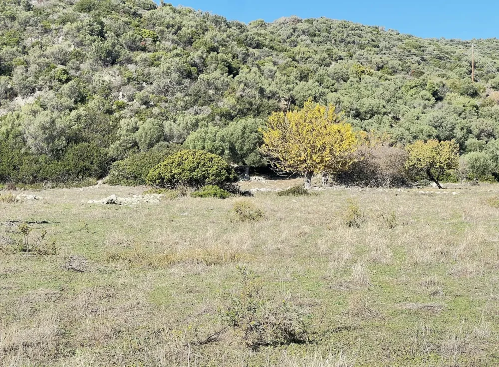 Land Plot Even and Buildable 4,760sq.m for SALE in Tristinika Sithonia, Halkidiki