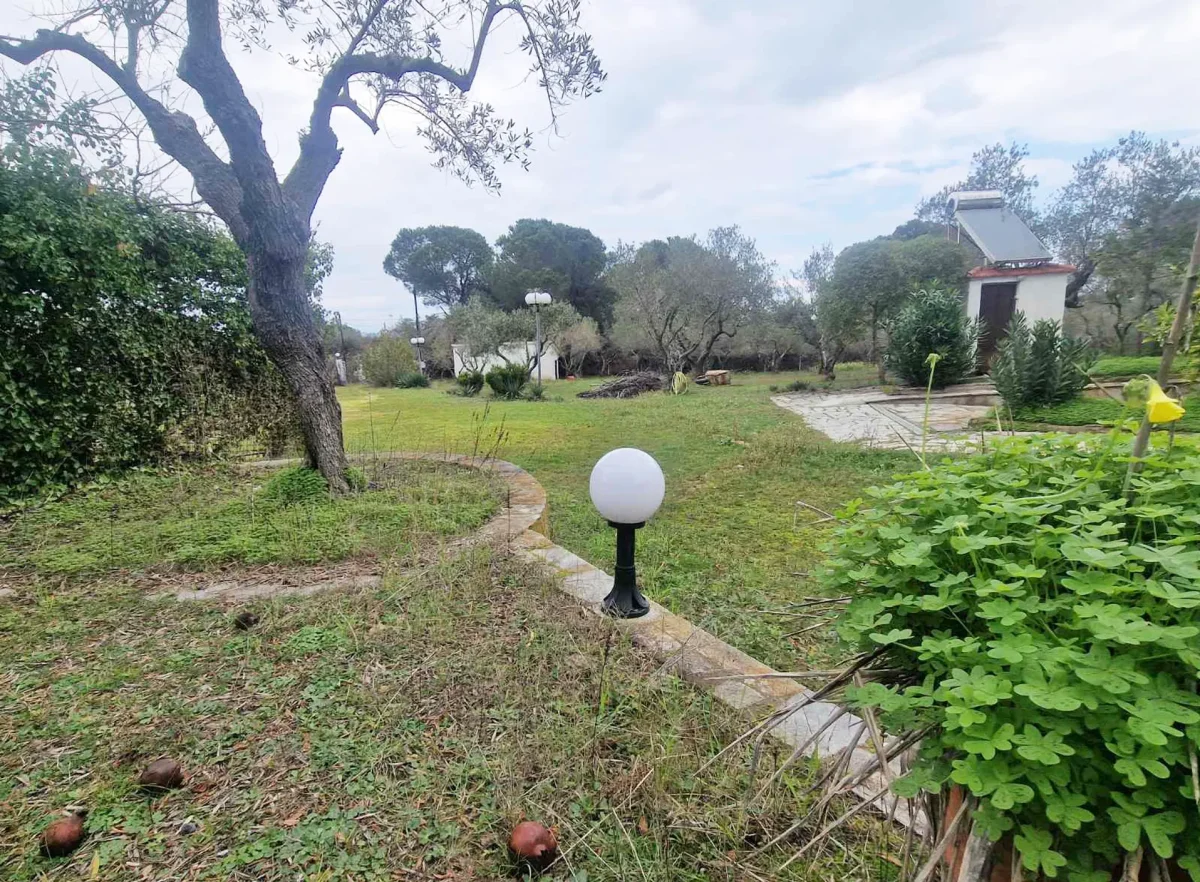 Forest Aelia apartments, Vourvourou Sithonia