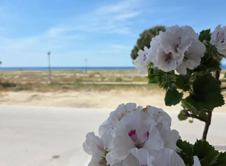 Star Seafront, Toroni Sithonia Halkidiki